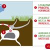 Hortal Hormiguicida Liquido 120cc - Imagen 2