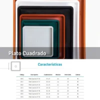 PLATO PLASTICO CUADRADO MATRI N30