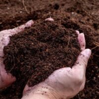 TIERRA FERTIL SUELTA X1KG
